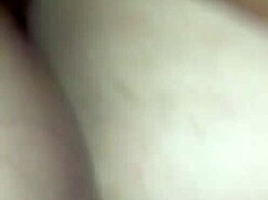 In this narrative, we explore the story of a fat pussy in detail