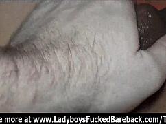 omg, ladyboy kon gets bareback with piss and cum! 😜