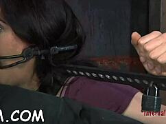 cutie thraldom porn with hardcore blowjob, slut sucking, fucking pussy, bound cock, and bondage