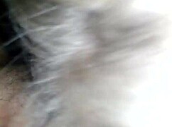 Sexy blonde sucking dick evokes intense pleasure and desire.