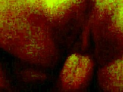 Young Latina Pussy Drilled Hard in Homemade Clip