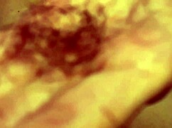 Rare Video HairyPussyAngel Shaves Thick Bush and Asshole Close-Up. See Doggy Pussy and Ass After Razor Work.