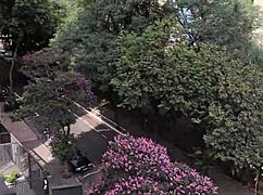 young otaku girl gives blowjob on balcony