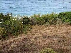 petite blowjob exhibition in nature during my cyprus trip 🌳🍆