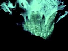 Den fantastiske verden av vintage porno trioer med hårete fitte og lesbisk gruppe