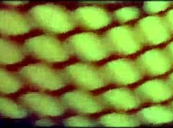 Follé rico con el enmascarado pero se corrió demasiado rápido, dejando creampie en la ebony latina