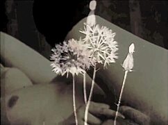 Den underbara världen av vintage-porr threesomes med hårig fitta och lesbisk grupp