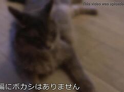 kaori-chan, a 22-year-old tall model and cat lover, enjoys her college life