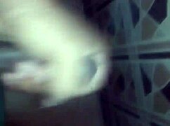 From pussy to anal twice with anal creampie