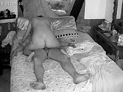 In the bbb house, a latina engages in wild, passionate encounters with multiple partners