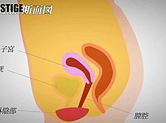 I’m obsessed with this Asian creampie action right now