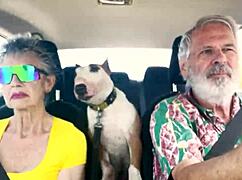 Driving East Oahu, talking sex 😏