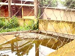 two tourists explore park paths