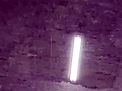 secretly peeing at work in germany