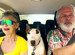 Driving East Oahu, talking sex 😏