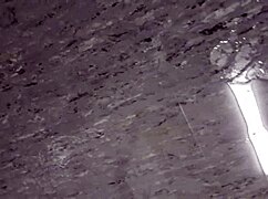 secretly peeing at work in germany