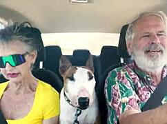 Driving East Oahu, talking sex 😏