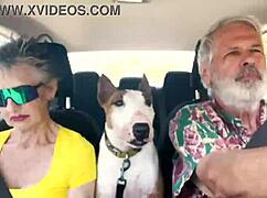 Driving East Oahu, talking sex 😏