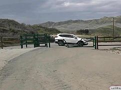 Busty milf licking young pussy!