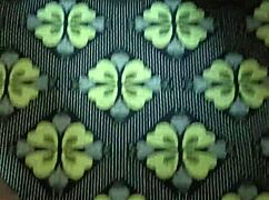 Does Mistibhabi Get a Hard Creampie from Her Driver in This Intense Session?