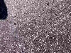 asked the street prostitute how much for a fuck, she said free and led me to the woods for outdoor sex.