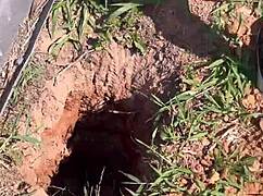 Tanya Pelacur Jalan Berapa Untuk Kongkek, Dia Kata Percuma Dan Bawa Saya Ke Hutan Untuk Seks Luar