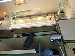 Hey, wanna see this hot 18 yo chick's upskirt on hidden cam at work?