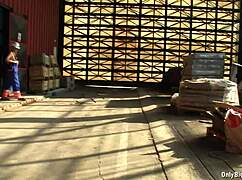 シェルビー・ムーンのデカパイ仕事中揺れまくり楽しすぎ