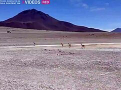 Vlog Porno Bolivia: Public Explicit Sex with AlemaoHub