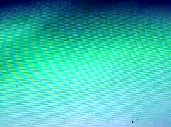 Can You Handle This Bitch's Big Hairy Pussy?