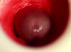 Filled Camera with Cum in Best Anal Cumshot 4K