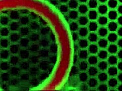 i made carmen valentina eat cleo's wet pussy after losing bet