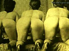 Dark Lantern Presents Erotic Confessions Of A Victorian Gentleman With Mature Milf Pussy