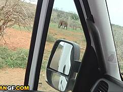 नॉटी केन्याई गर्लफ्रेंड को हंग बीएफ ने ब्रैटिनेस चोदकर निकाला।