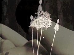 Discover Vintage Lesbians In Erotic Victorian Confessions?