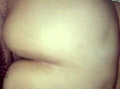 phat latina butt gets bareback assfucking at home