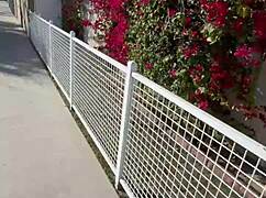 The Free Sfw Version of My First Ever Pornlog