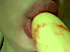 elzakom sweet pussy with toys and lingerie