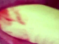 elzakom sweet pussy with toys and lingerie