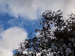 Bosmeisje en ik genieten wandeling in hutje