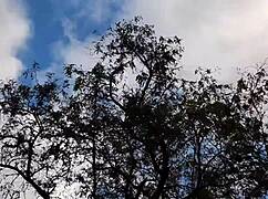 The forester girl and I enjoyed a walk in the hut