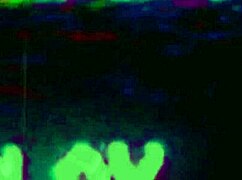 they go both wayz acoustic slowed