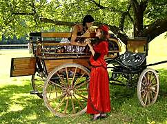 Watch Three Hot Lesbians Lick Pussies and Use Toys?