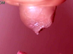 Японская жена изменяет с большим хуем крупным планом