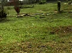 Outdoor fucking with my husband’s brother at our ranch