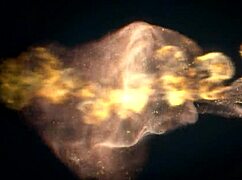 Carolina With Big Butt Loves Hard Anal Fuck, Only Anal 😈