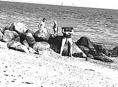 Τεράστιο πούτσο στην παραλία γυμνιστών, απίστευτη θέα!