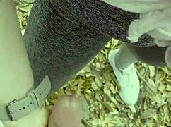 Ik zeg, stop met wandelen en kom in me klaar. We hebben ruwe seks in het park. Oeps, buiten.