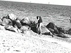 Just saw this huge cock at the nude beach, unreal sight!