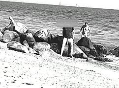 Just saw this huge cock at the nude beach, unreal sight!